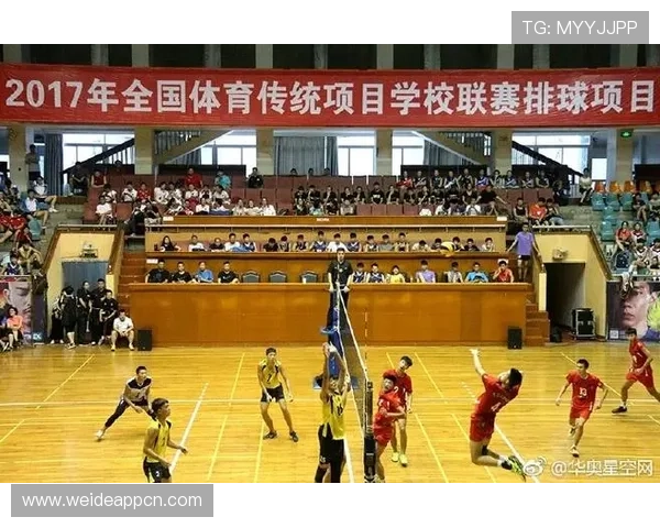 星空体育注册中心：提升注册效率的实用技巧与最新政策解读